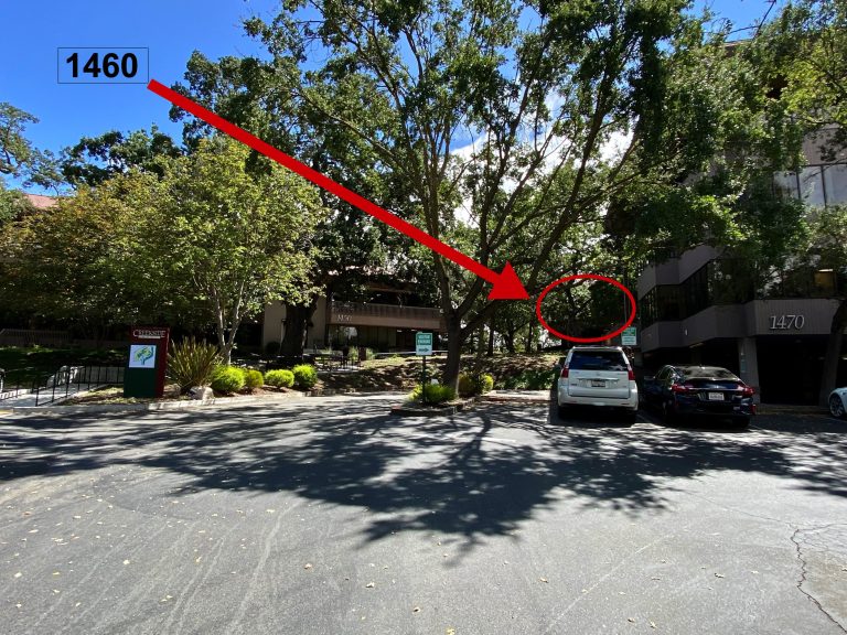 Transform Your Life with Personalized Counseling in Walnut Creek, California